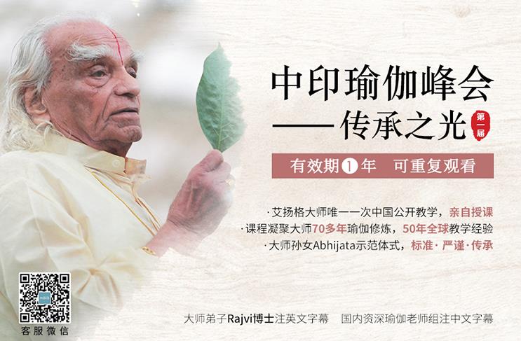 第一届『中印瑜伽峰会』-艾扬格大师亲授